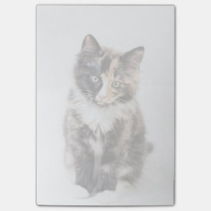 Post-it® Chaton adorable de calicot