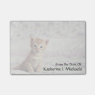 Post-it® Chaton minuscule de gingembre