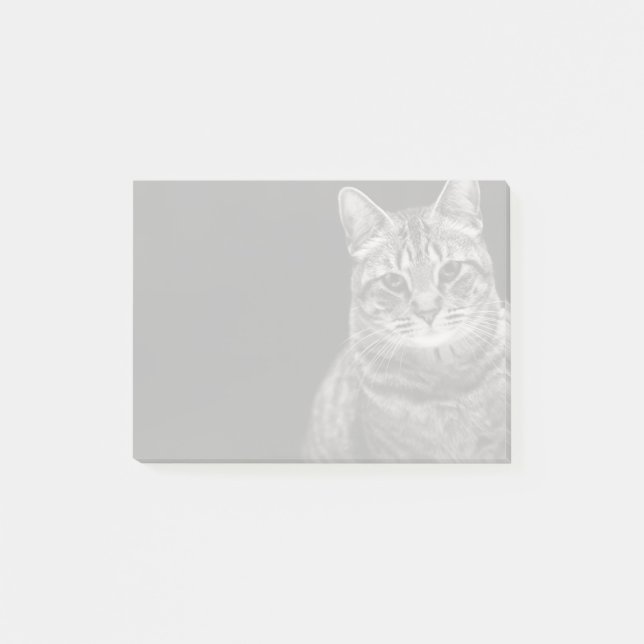 Post-it® Chaton tigré noir (Devant)