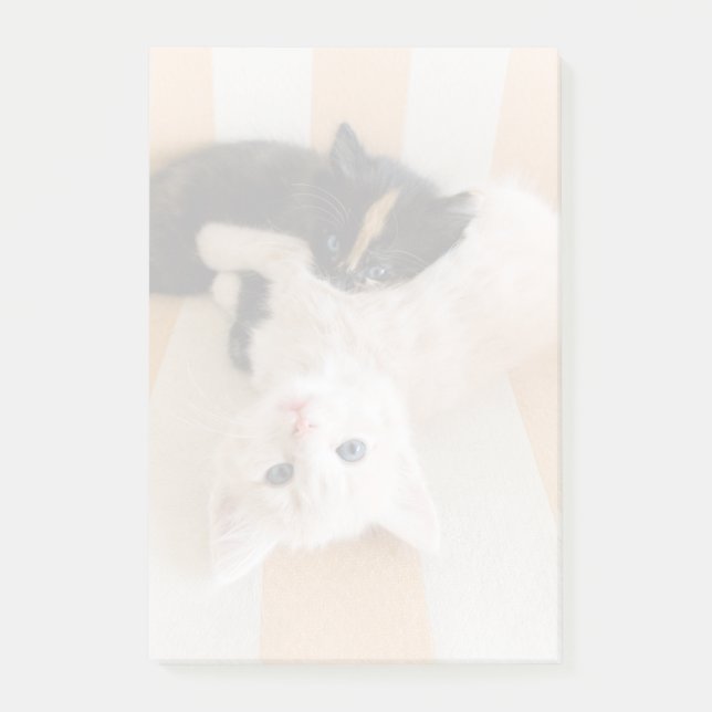 Post-it® Chatons blancs et noirs (Devant)
