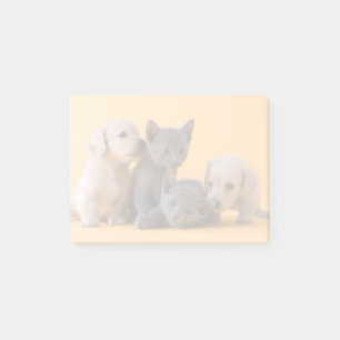 Post-it® Chatons et chiots bleus russes de teckel