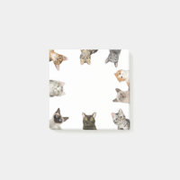 Chats | Drôle Amoureux des chats