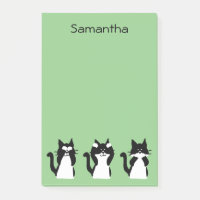 Chats Smokings | Trois Sages Chattes Vert Clair