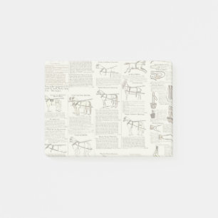 Post-it® Cheval Antique Publicité Journal Art