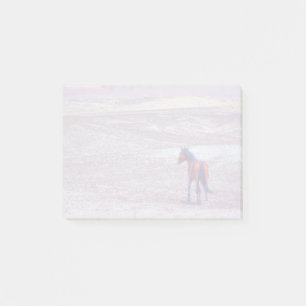 Post-it® Cheval du désert P8640