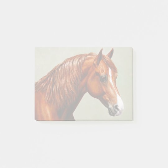 Post It Cheval Morgan De Chataignes Zazzle Fr