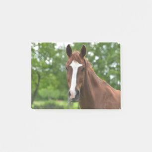 Post-it® Cheval Visage Avec Marquage