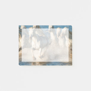 Post-it® Chevaux blancs de Camargue, France