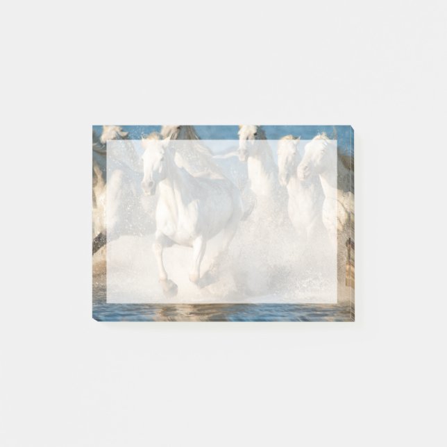 Post-it® Chevaux blancs de Camargue, France (Devant)