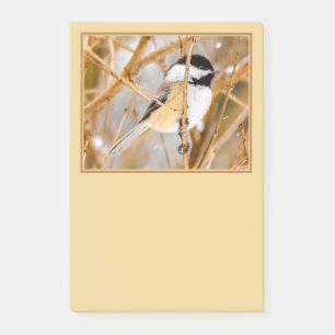 Post-it® Chickadee au plafond noir - Photo originale