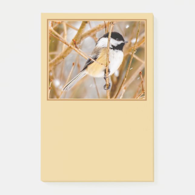 Post-it® Chickadee au plafond noir - Photo originale (Devant)