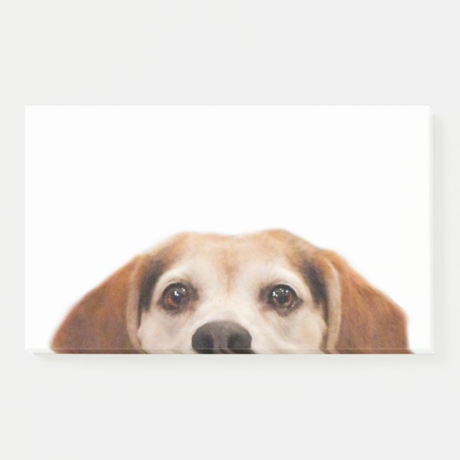 Post-it® Chien Beagle sympa Chien moderne tendance (Devant)