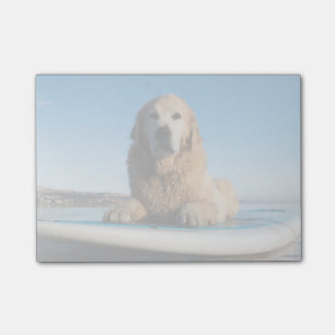 Post-it® Chien de golden retriever s'étendant sur un
