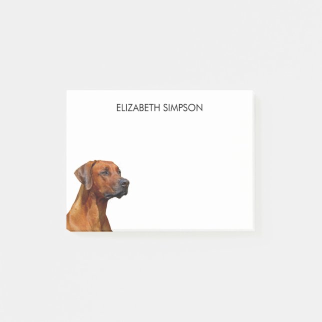 Post-it® Chien de Rhodesian Ridgeback (Devant)
