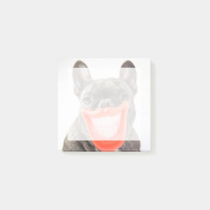 Post-it® Chien de sourire des images   A de Getty