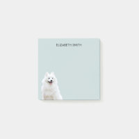 Chien Esquimau américain Spitz