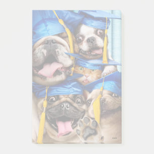 Post-it® Chiens et chats diplômés en photomaton