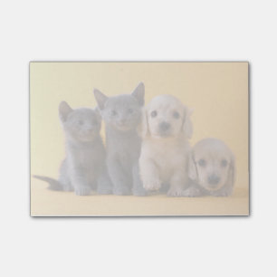 Post-it® Chiffres Bleus Russes Et Chiots De Dachshund