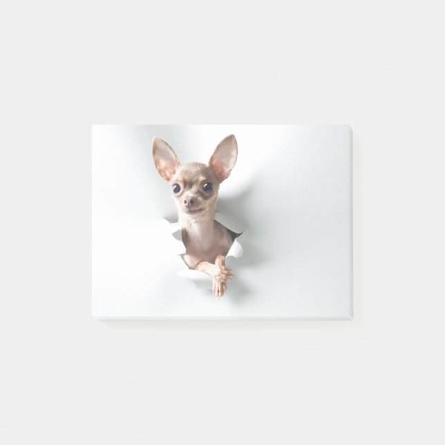 Post-it® Chihuahua (Devant)