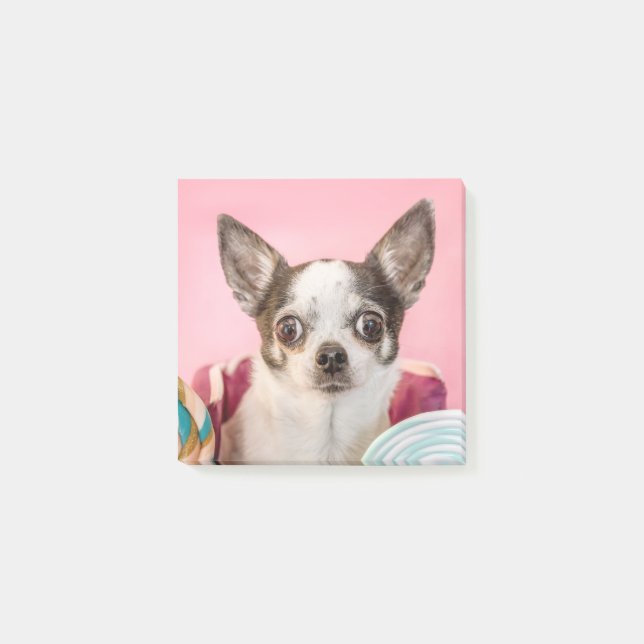 Post-it® Chihuahua (Devant)