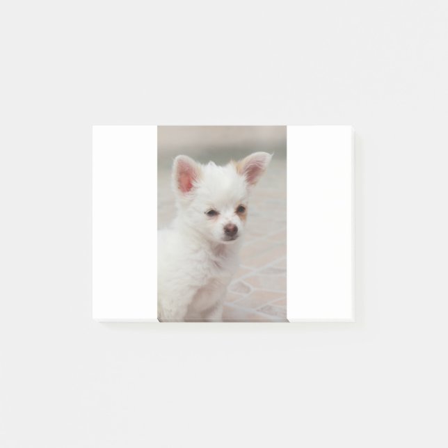 Post-it® Chihuahua chippy dans un jardin (Devant)