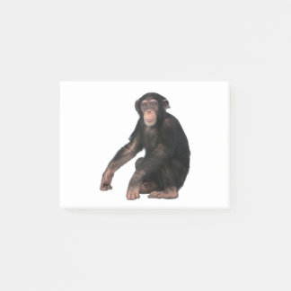 Post-it® Chimpanzé