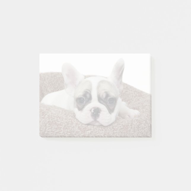 Post-it® Chiot de bouledogue français se situant dans un (Devant)
