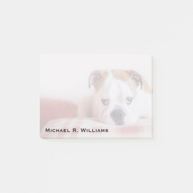 Post-it® Chiot de Bulldog anglais timide (Devant)