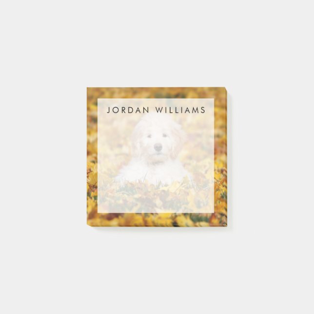 Post-it® Chiot De Goldendoodle En Feuilles D'Automne (Devant)