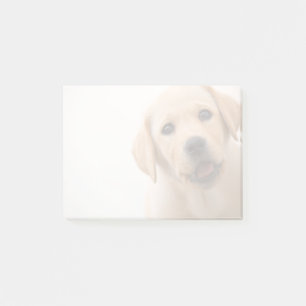 Post-it® Chiot d'or de Labrador