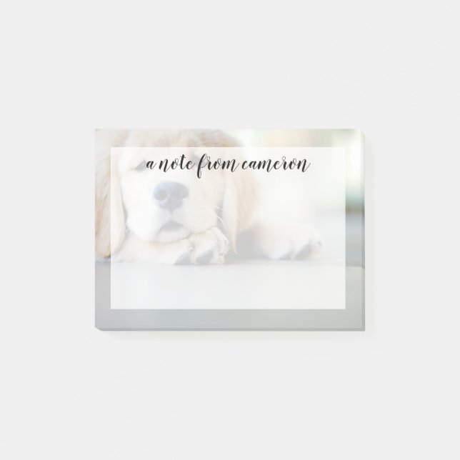 Post-it® Chiot doré de l'équipe de rétrification (Devant)