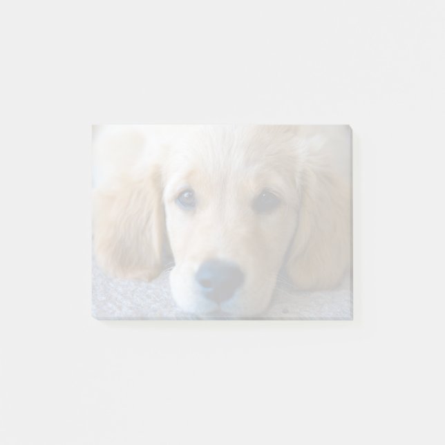Post-it® Chiot doux et doux (Devant)