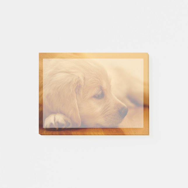Post-it® Chiot Golden Retriever (Devant)