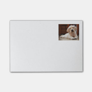 Post-it® Chiot jaune de Labrador de bébé s'étendant sur le