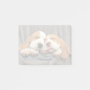 Post-it® Chiots endormis