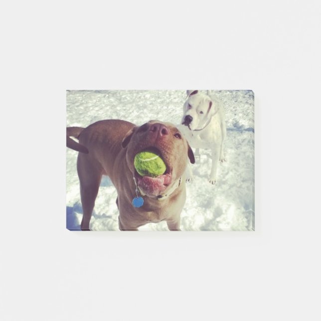 Post-it® Chiots jouant le bloc-notes de boule (Devant)