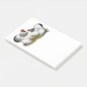 Post-it® Cochin Columbian Bantams