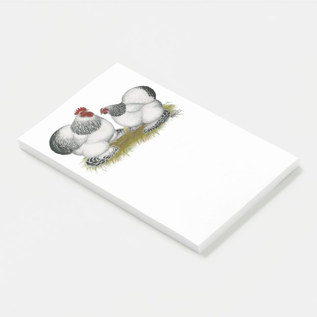 Post-it® Cochin Columbian Bantams (Incliné)