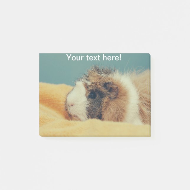 Post-it® Cochon de Guinée (Devant)