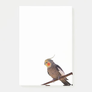 Post-it® Cockatiel gris et jaune Pet Oiseau couleur photo