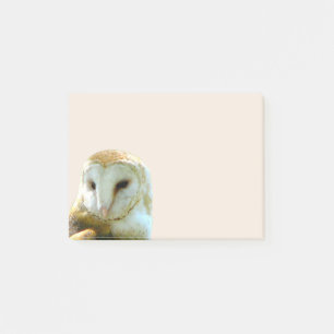 Post-it® Coin de hibou de grange