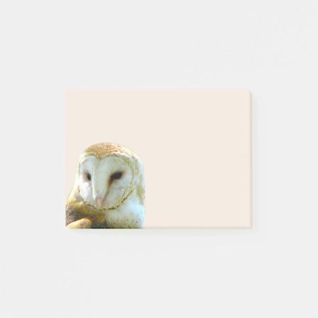 Post-it® Coin de hibou de grange (Devant)