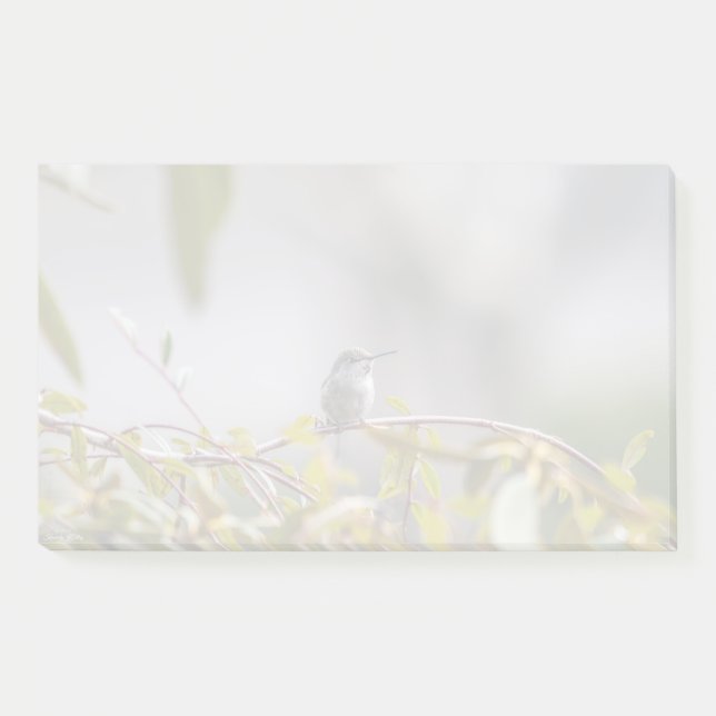 Post-it® Colibri 3346 (Devant)