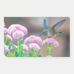 Post-it® Colibri Et Fleurs