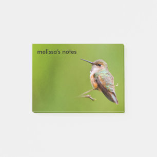Post-it® Colibri roux sur la succursale de California Lilac