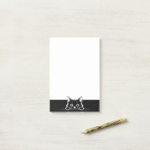 Conception minimaliste de chaton mignon - CHAT 1a