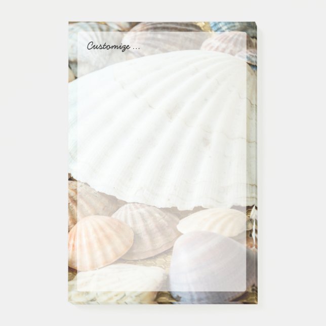 Post-it® Coquilles de mer - océan, mer, nature (Devant)