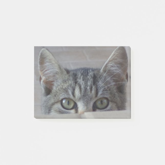 Post-it® Coucou petit chat (Devant)