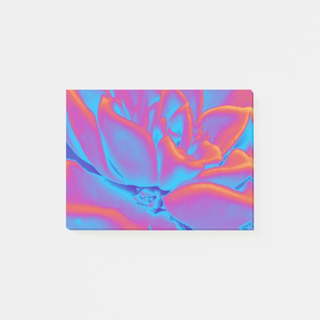Post-it® Couleur arc-en-ciel plante Succulent (Devant)