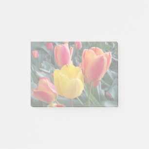 Post-it® Couleurs atténuées dans votre propre photo